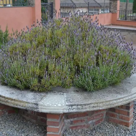 La Casona Dels Avis * Fogás de Tordera