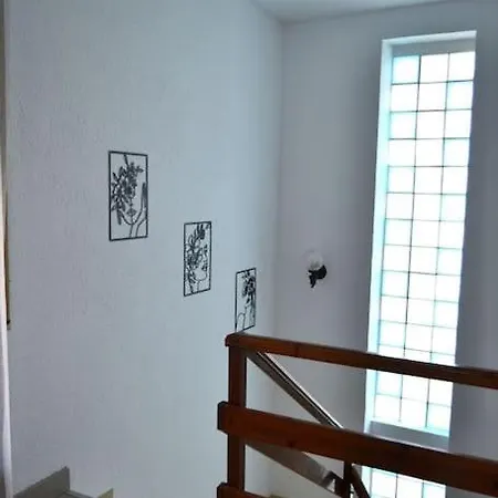 La Casona Dels Avis Villa *