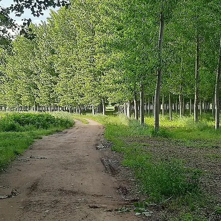 La Casona Dels Avis * Fogas de Tordera